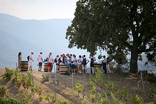 CORSE INCENTIVE