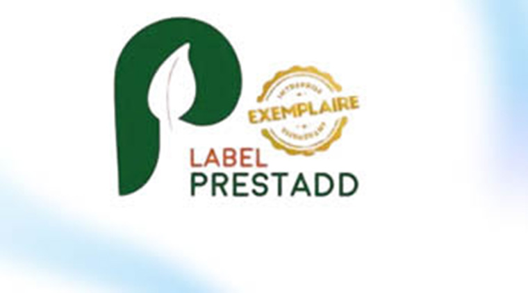 PRESTATAIRES NOVELTY 2