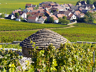 10 ans climats Unesco