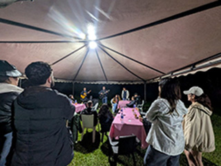 NL-597-VOYAGE INCENTIVE 2