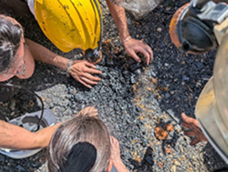 NL-597-VOYAGE INCENTIVE 5 (1)