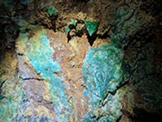 NL-597-VOYAGE INCENTIVE 6