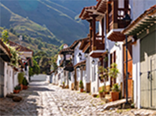 NL-597-VOYAGE INCENTIVE 7