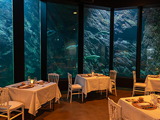 NL-600-OCEANOPOLIS