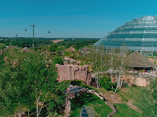 NL-600-ZOOPARC DE BEAUVAL